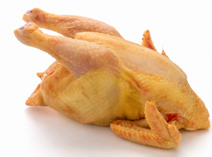 Full Chicken - Hardbody