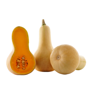 Butternut