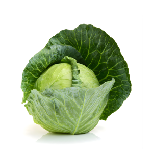 Cabbage
