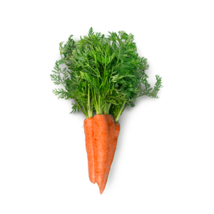 Carrots