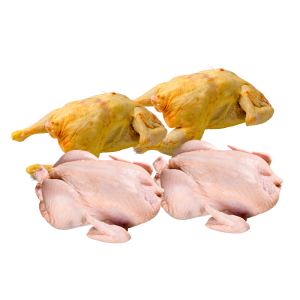 Full Chicken Combo 4(2 Regular + 2 hardbody + 30 large eggs)