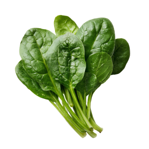 VEG - Spinach
