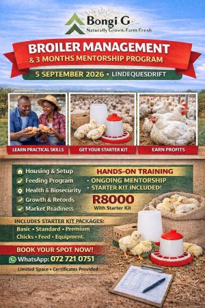Broiler Management & 3 Months Mentorship Program